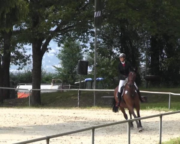 Drei Länder Challenge 2014