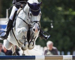 Stallion Lord Pepper (Oldenburger, 2011, from Levisonn 208 FIN)