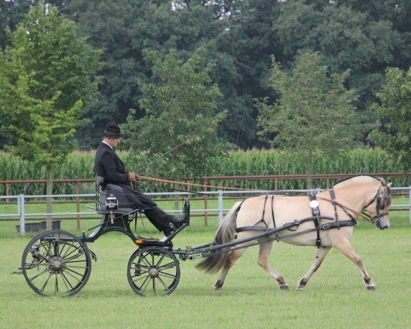 Avlshoppe Thora (Fjordhest, 2011, fra Catago)