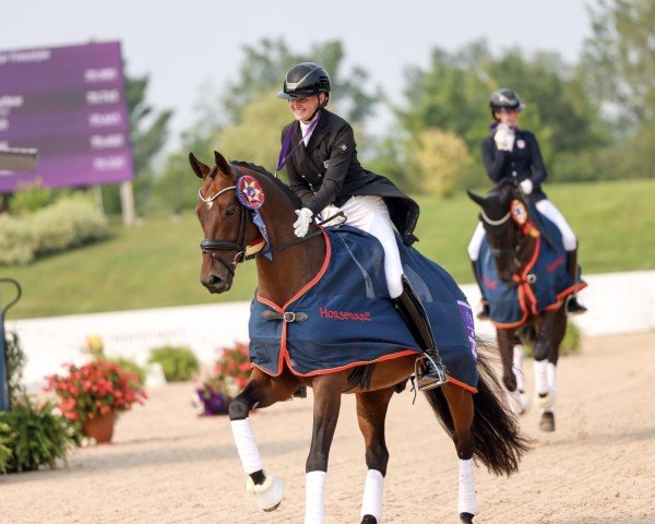 dressage horse Quaresma (Oldenburg, 2016, from Quantensprung 3)