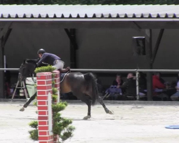 Drei Länder Challenge 2014