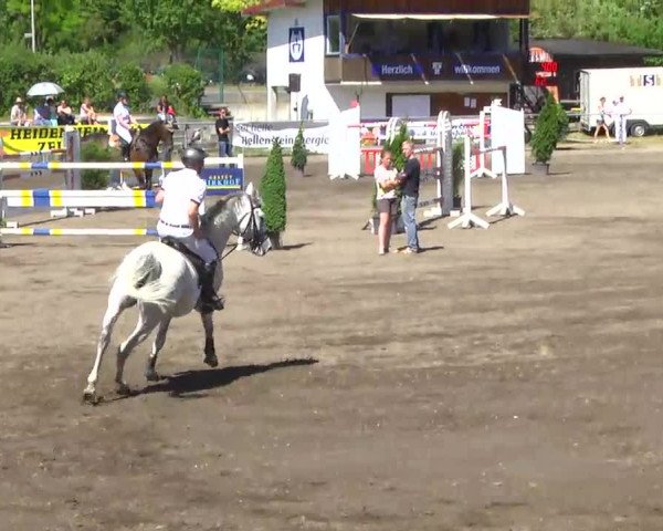 Großes Heidenheimer Reitturnier 2014