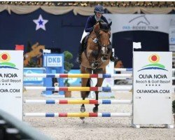 Cheval de saut Ferstlhof's Eurofighter (Bayer, 2008, de Epsom Gesmeray)