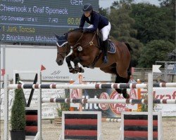 jumper Chocco 3 (Hanoverian, 2003, from Cheenook)