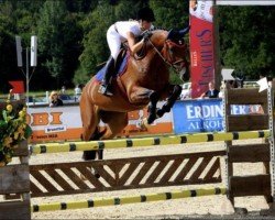 jumper Contigo 24 (Holsteiner, 2003, from Conteur)
