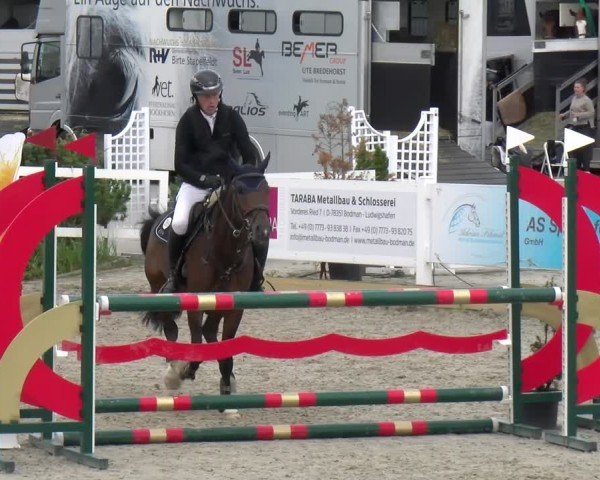 Reitturnier Sauldorf-Boll 2025