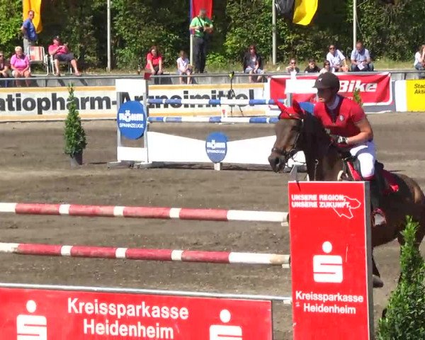Großes Heidenheimer Reitturnier 2014