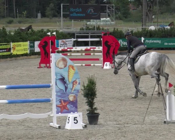 Reitturnier Sauldorf-Boll 2025