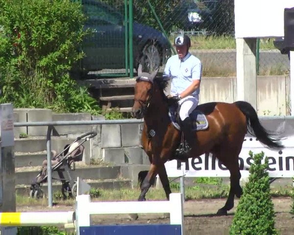 Großes Heidenheimer Reitturnier 2014