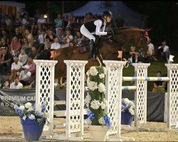 jumper Carola 93 (German Sport Horse, 2014, from Conthargos)