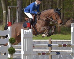 broodmare Billabong 3 (Holsteiner, 2007, from Cassini I)