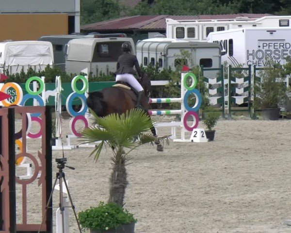Reitturnier Sauldorf-Boll 2025