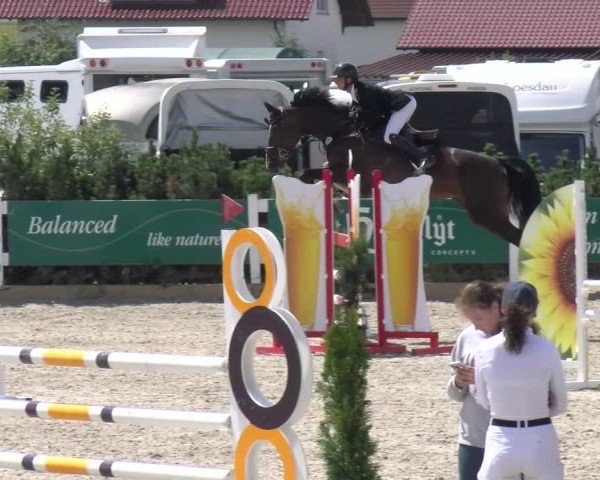 Reitturnier Sauldorf-Boll 2025