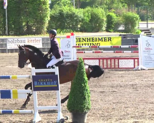 Großes Heidenheimer Reitturnier 2014