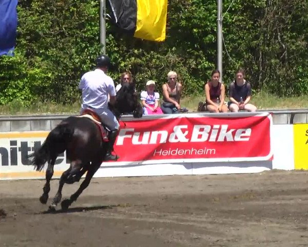 Großes Heidenheimer Reitturnier 2014