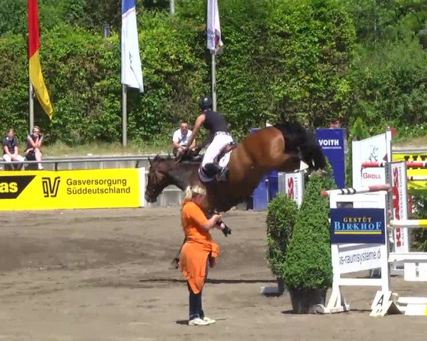 Großes Heidenheimer Reitturnier 2014