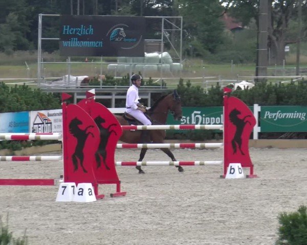 Reitturnier Sauldorf-Boll 2025