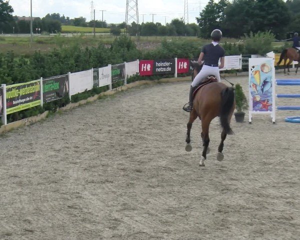 Reitturnier Sauldorf-Boll 2025