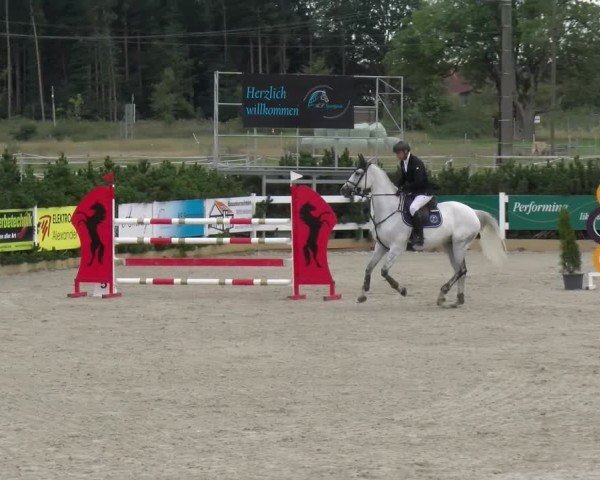 Reitturnier Sauldorf-Boll 2025