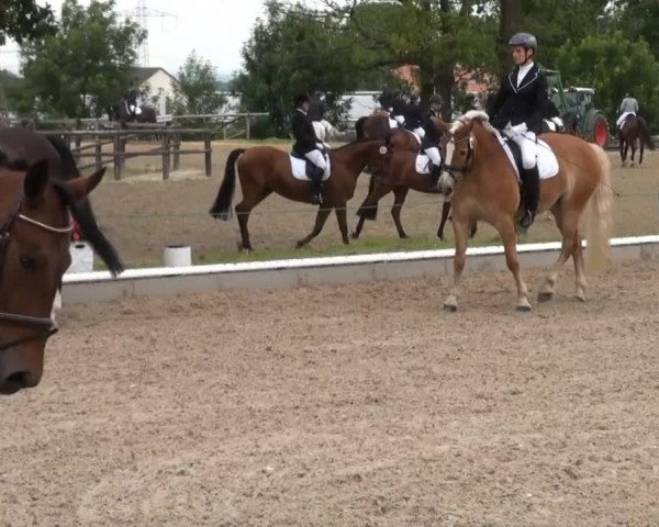 Sommerturnier Fröndenberg 2014