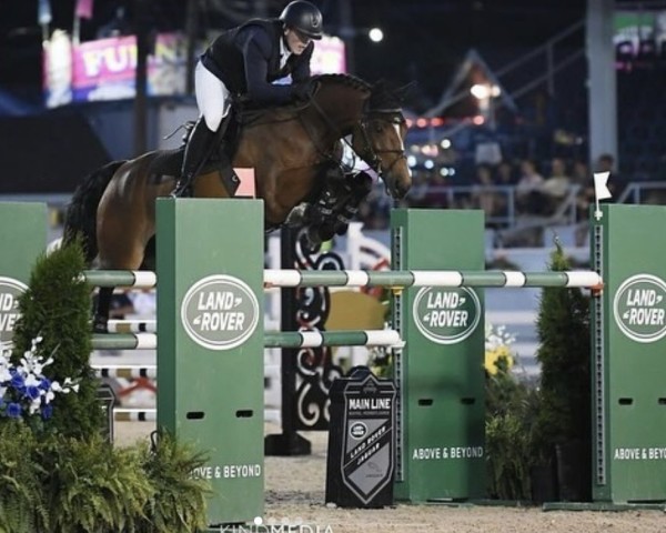 Cheval de saut Galliano Lw (Holsteiner, 2014, de Acolino 4)