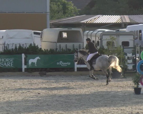 Reitturnier Sauldorf-Boll 2025