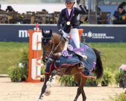 Springpferd Billy Kiara (Anglo Europäisches Sportpferd, 2012, von Billy Mexico)