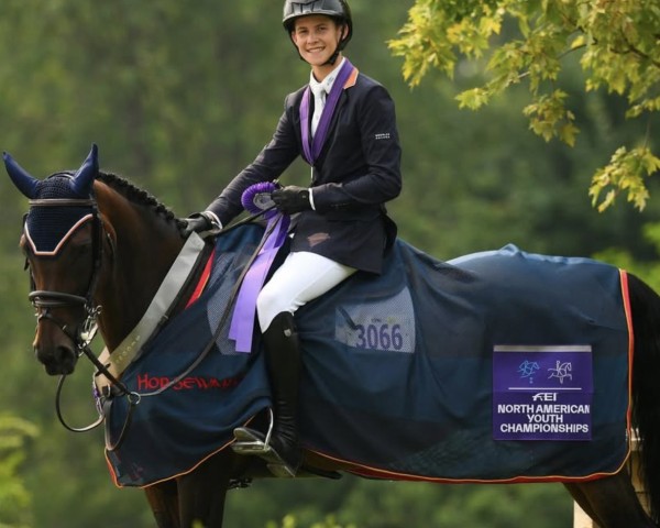 Cavallo da salto Sugar Girl (Hannoveriano, 2014, di Sandokan 290)