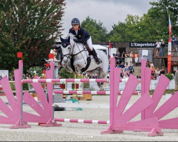jumper Catho van de Langvelden Z (Zangersheide riding horse, 2015, from Cantaloupe)