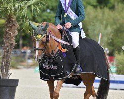 jumper Esperando SK (French Pony, 2014, from Ulk d'Ete)