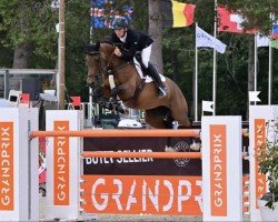 jumper Love (KWPN (Royal Dutch Sporthorse), 2016, from Diamant de Semilly)