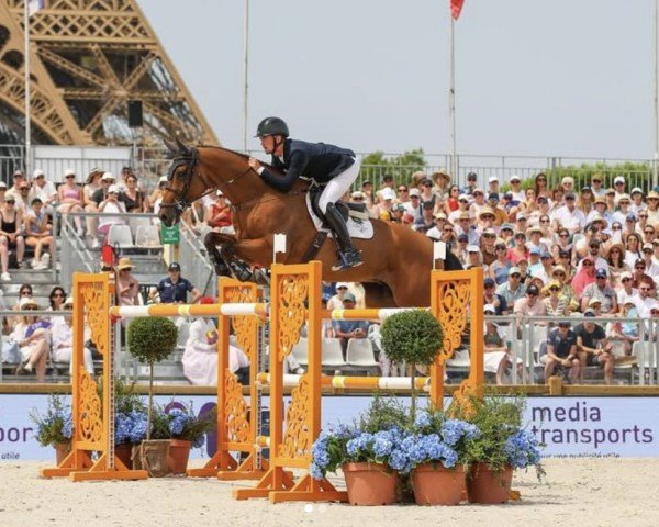 jumper BP Pocahontas (Irish Sport Horse, 2014, from Emilion)