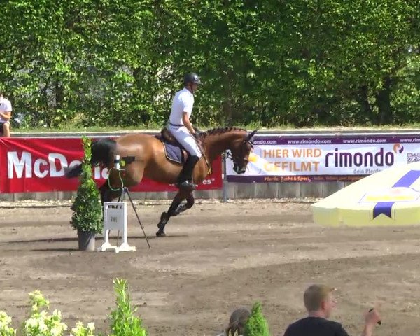 Großes Heidenheimer Reitturnier 2014