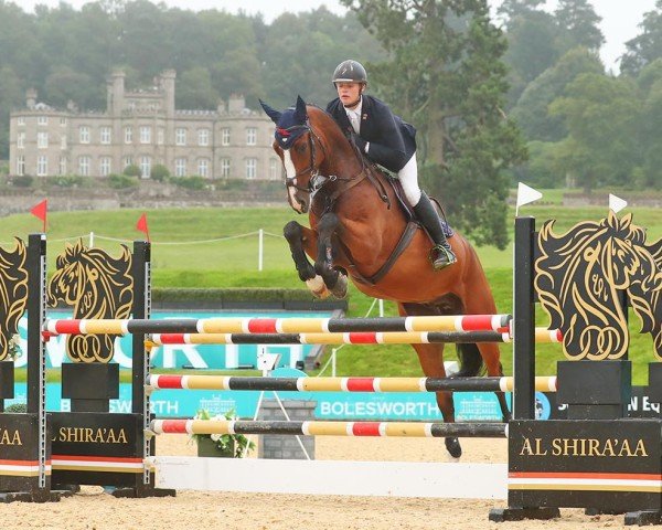 jumper Johidoki (KWPN (Royal Dutch Sporthorse), 2014, from Dallas VDL Z)
