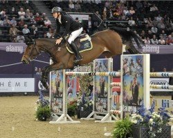 jumper Rumbolds Starlight (anglo european sporthorse, 2010, from El-Thuder)