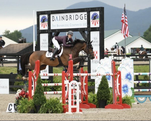 jumper Quick Ginger Della Caccia (unknown, 2017, from Quick Star)