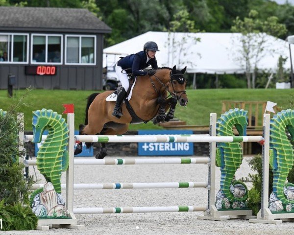 jumper Cascalretto (Holsteiner, 2012, from Casall Ask)