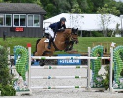 jumper Cascalretto (Holsteiner, 2012, from Casall Ask)
