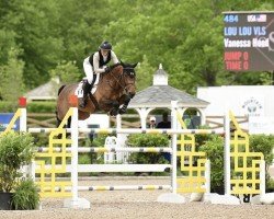 Cavallo da salto Lou Lou Vls (Cavallo a sangue caldo belga, 2011, di Elvis Ter Putte)