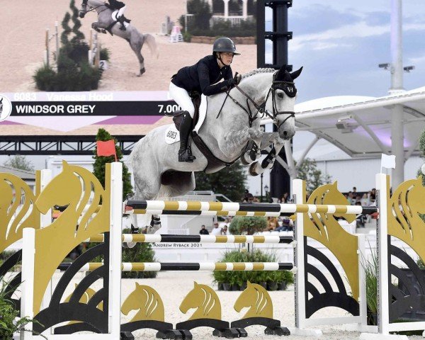 Springpferd Windsor Grey (Westfale, 2011, von Cristallo II)