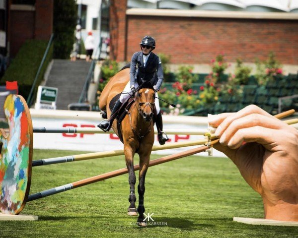 Springpferd Gentille van Spieveld (Belgisches Warmblut, 2006, von Heartbreaker)