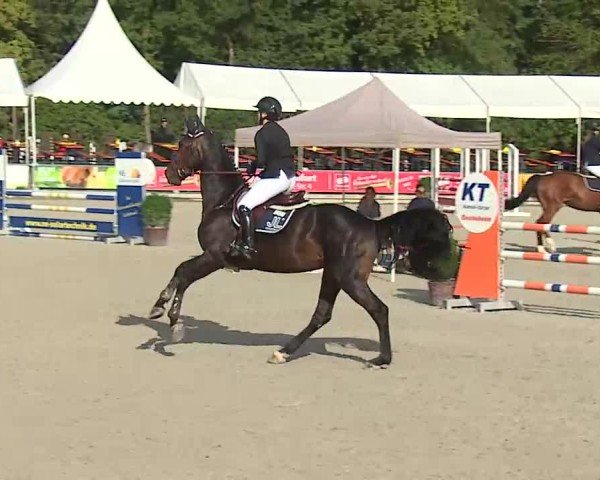 Reitturnier Grafenrheinfeld/Ufr. 2025