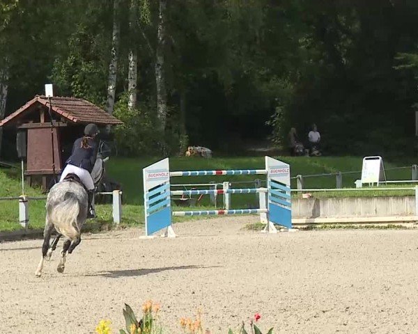 Reitturnier Grafenrheinfeld/Ufr. 2025