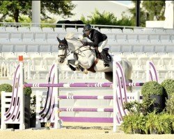 jumper ESI Lucius (Irish horse, 2017, from VDL Cardento 933)