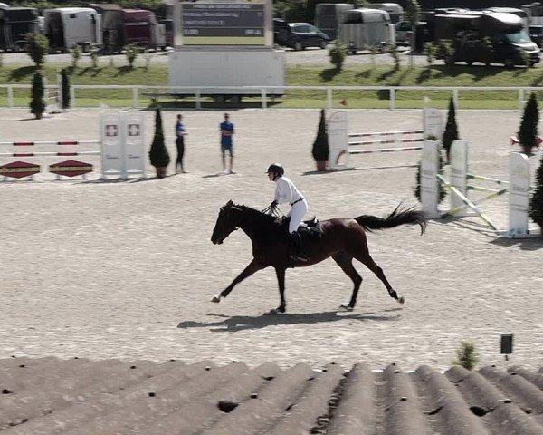 Pferdesporttage Bülach 2021