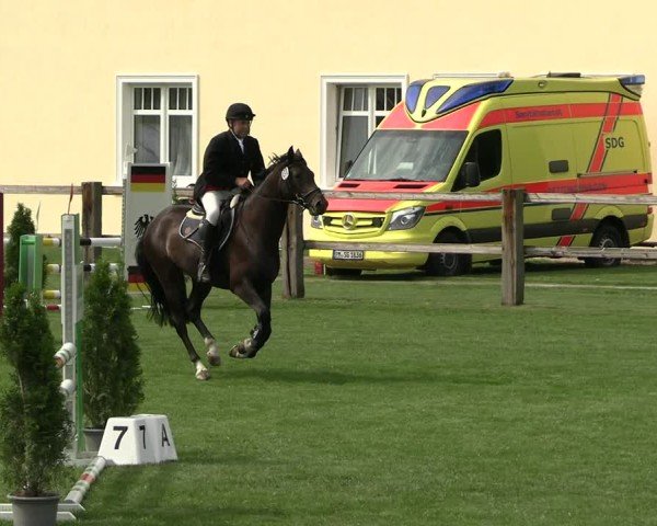 Reitturnier Niemegk / Neuendorf 2025