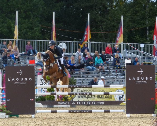 Springpferd St.annens Get Up (Deutsches Reitpony, 2011, von Golden Gate N)