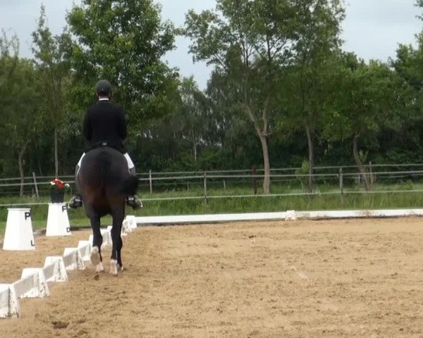 Großes Sommerturnier in Hille 2014