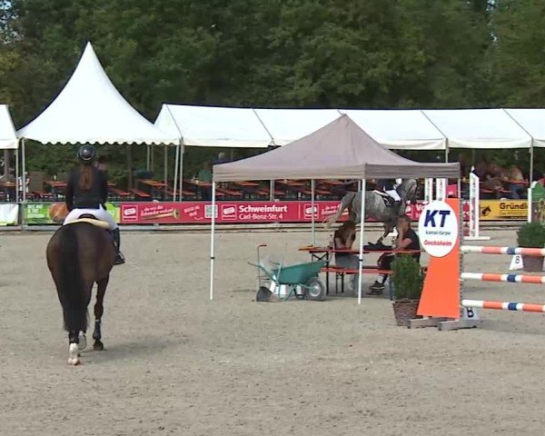 Reitturnier Grafenrheinfeld/Ufr. 2025
