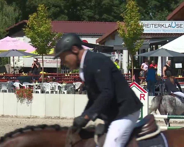 Reitturnier Grafenrheinfeld/Ufr. 2025